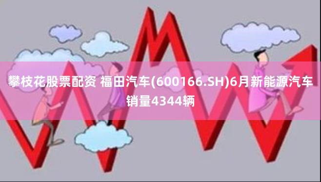 攀枝花股票配资 福田汽车(600166.SH)6月新能源汽车销量4344辆