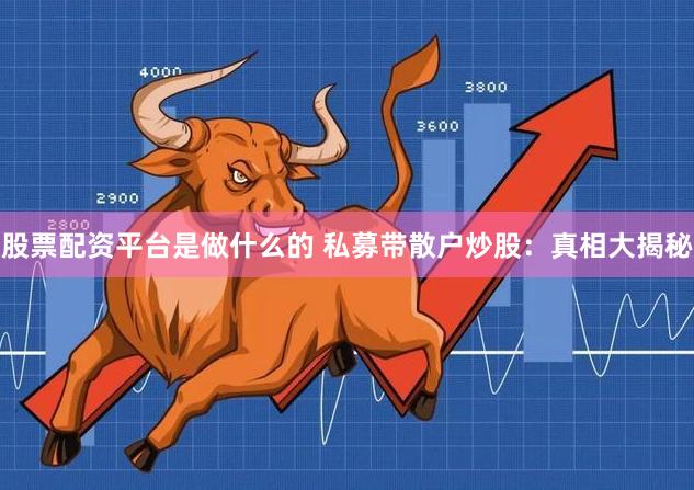 股票配资平台是做什么的 私募带散户炒股：真相大揭秘