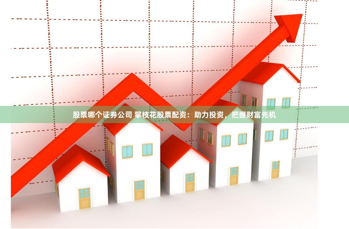 股票哪个证券公司 攀枝花股票配资：助力投资，把握财富先机